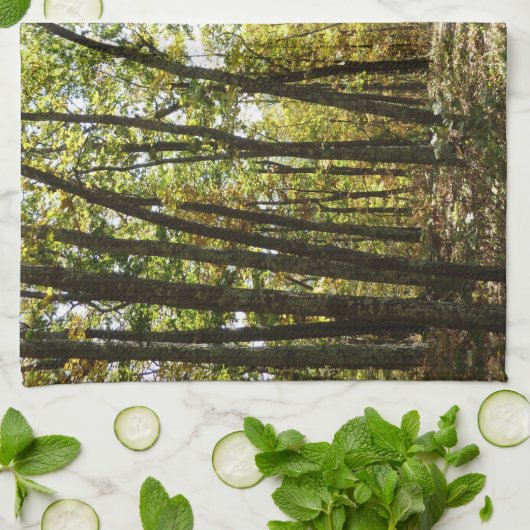 Appalachian Trail in oktober in Shenandoah Theedoek (Gevouwen)