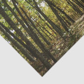 Appalachian Trail in oktober in Shenandoah Tissuepapier (Detail)