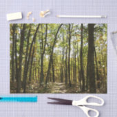 Appalachian Trail in oktober in Shenandoah Tissuepapier (Craft)