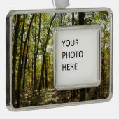 Appalachian Trail in oktober in Shenandoah Verzilverd Omlijst Ornament (Rechts)