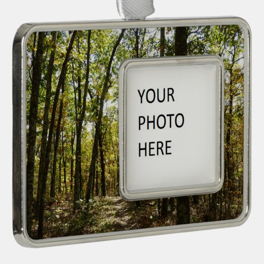 Appalachian Trail in oktober in Shenandoah Verzilverd Omlijst Ornament (Rechts)