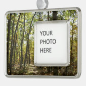Appalachian Trail in oktober in Shenandoah Verzilverd Omlijst Ornament (Links)