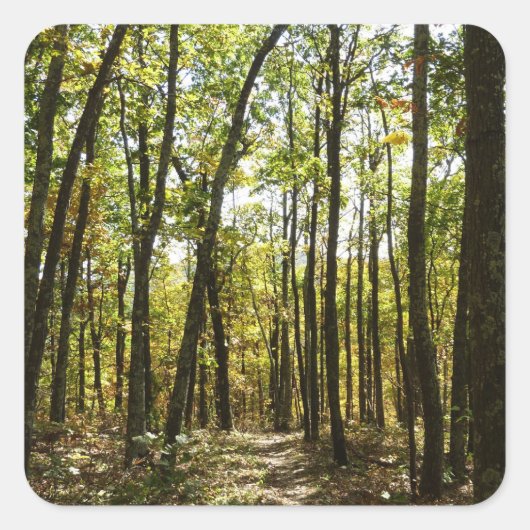 Appalachian Trail in oktober in Shenandoah Vierkante Sticker (Voorkant)
