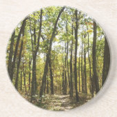 Appalachian Trail in oktober in Shenandoah Zandsteen Onderzetter (Voorkant)