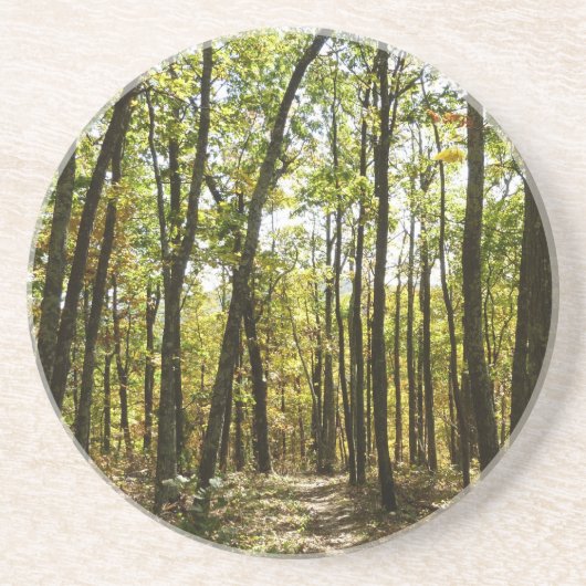 Appalachian Trail in oktober in Shenandoah Zandsteen Onderzetter (Voorkant)