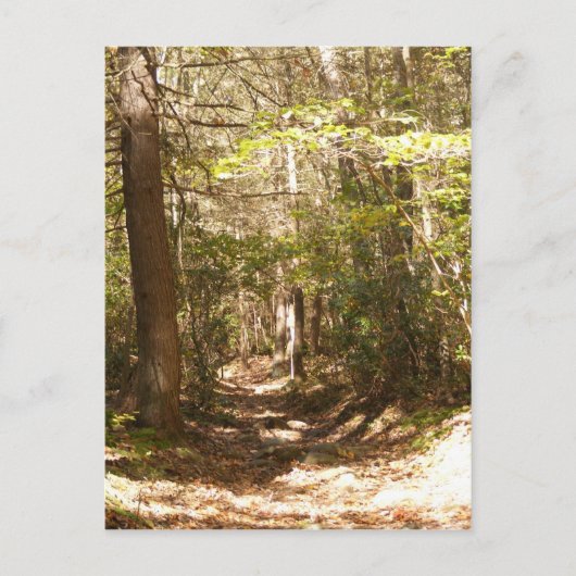 appalachian trail pennsylvania briefkaart (Voorkant)