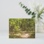 appalachian trail pennsylvania kalkoenen briefkaart (Staand voorkant)