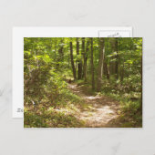 appalachian trail pennsylvania kalkoenen briefkaart (Voorkant / Achterkant)