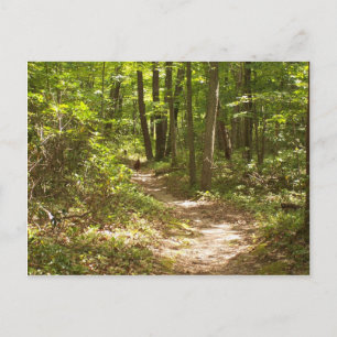 appalachian trail pennsylvania kalkoenen briefkaart