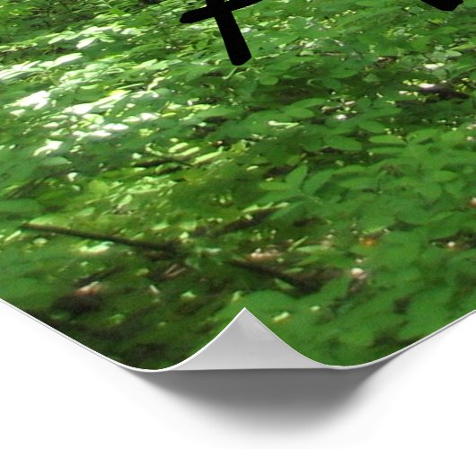 Appalachian Trail Poster (Hoek)