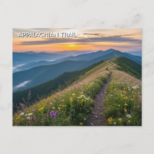 Appalachian Trail Reizen Briefkaart (Voorkant)