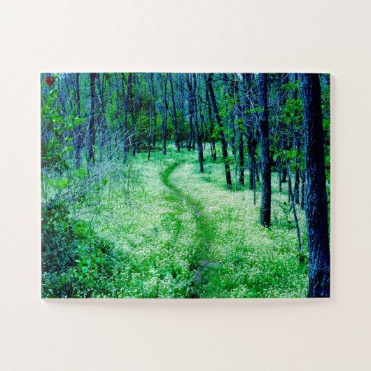 "Appalachian Trail Virginia", Legpuzzel (Horizontaal)