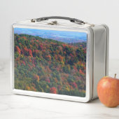 Appalachische bergen in Herfst (In situ)