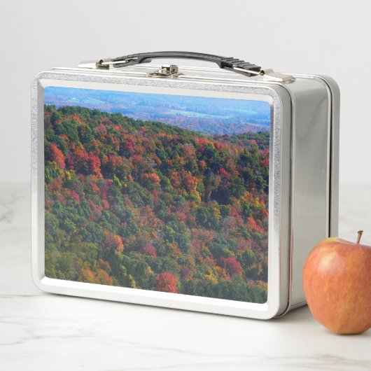 Appalachische bergen in Herfst (In situ)