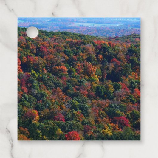 Appalachische bergen in Herfst Bedankjes Labels (Voorkant)