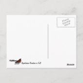 Appalachische bergen in Herfst Briefkaart (Achterkant)