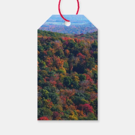 Appalachische bergen in Herfst Cadeaulabel (Voorkant)