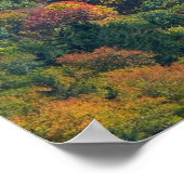 Appalachische bergen in Herfst Poster (Hoek)