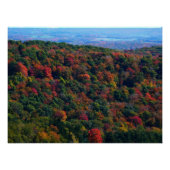 Appalachische bergen in Herfst Poster (Voorkant)