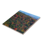Appalachische bergen in Herfst Tegeltje (Zijkant)