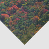 Appalachische bergen in Herfst Tissuepapier (Detail)