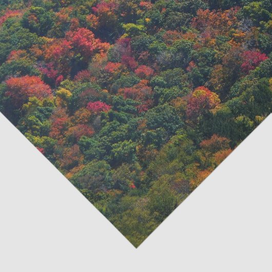 Appalachische bergen in Herfst Tissuepapier (Detail)