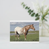 Appaloosa Briefkaart (Staand voorkant)
