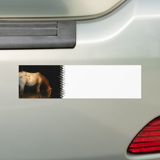 Appaloosa Bumpersticker (Op auto)
