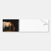 Appaloosa Bumpersticker (Voorkant)