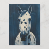 Appaloosa cyanotype briefkaart (Voorkant)