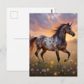 Appaloosa eenhoorn briefkaart (Voorkant / Achterkant)