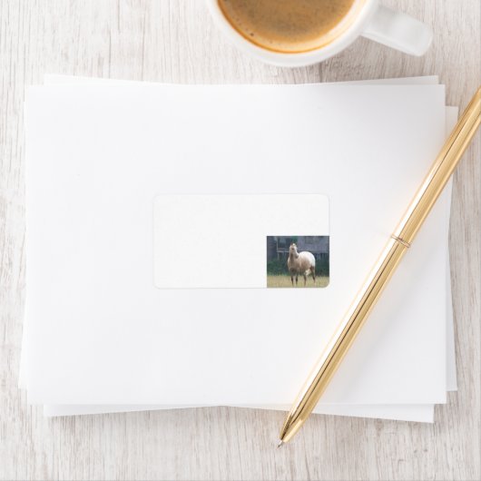 Appaloosa Etiket (Insitu)