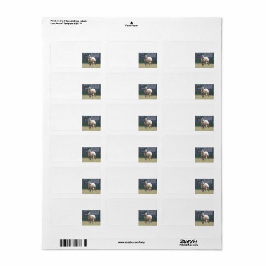 Appaloosa Etiket (Full Sheet)