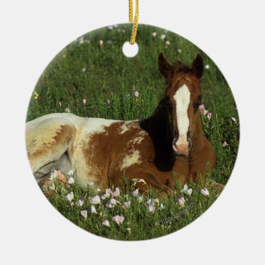 Appaloosa Foal Laying Down in Flowers Keramisch Ornament (Voorkant)