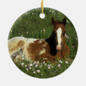 Appaloosa Foal Laying Down in Flowers Keramisch Ornament (Achterkant)