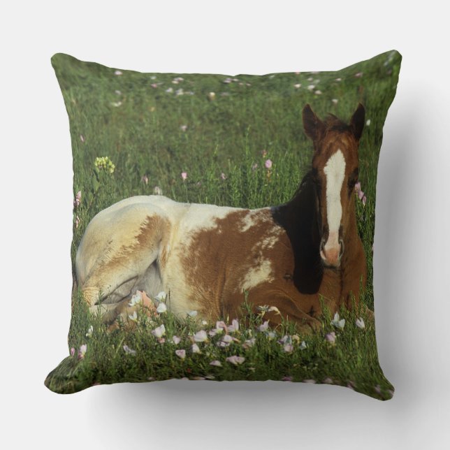 Appaloosa Foal Laying Down in Flowers Kussen (Voorkant)