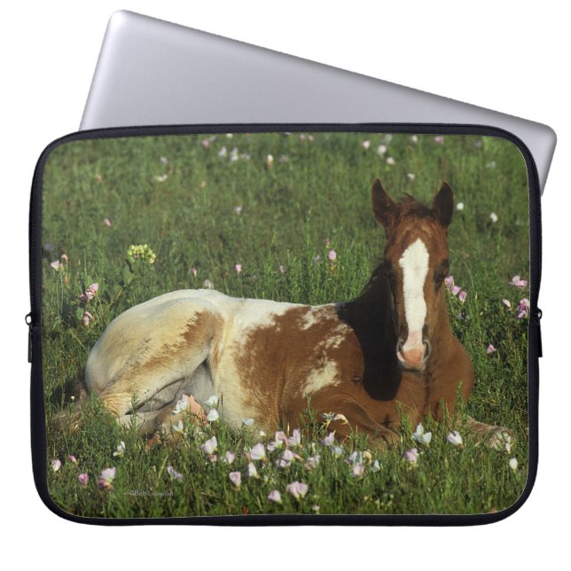 Appaloosa Foal Laying Down in Flowers Laptop Sleeve (Voorkant)