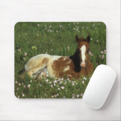 Appaloosa Foal Laying Down in Flowers Muismat (Met muis)