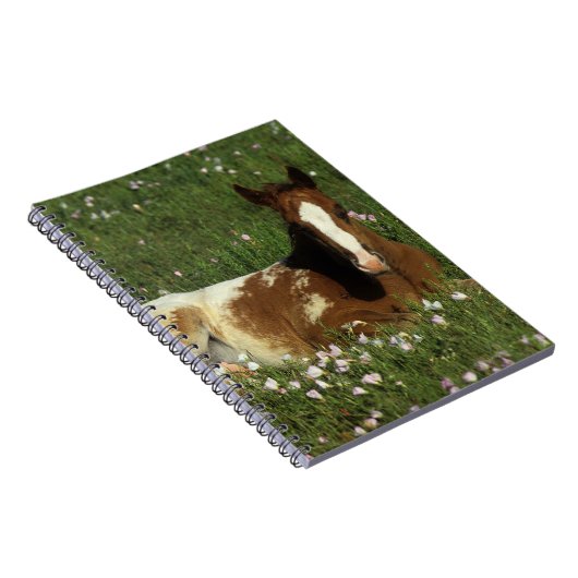 Appaloosa Foal Laying Down in Flowers Notitieboek (Rechterzijde)