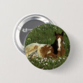 Appaloosa Foal Laying Down in Flowers Ronde Button 5,7 Cm (Voorkant /achterkant)