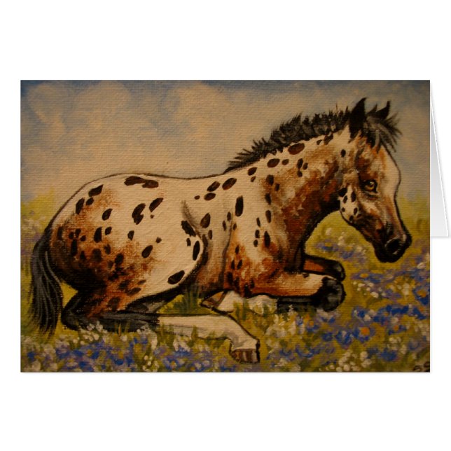 Appaloosa foelie (Voorkant Horizontaal)