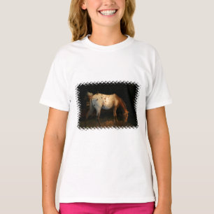 Appaloosa Girl's T-Shirt