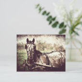 Appaloosa Horse Briefkaart (Staand voorkant)