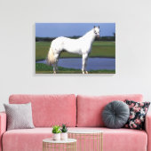 Appaloosa Horse Canvas Afdruk (Insitu (Woonkamer))