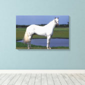 Appaloosa Horse Canvas Afdruk (Insitu (Houten vloer))