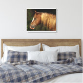 Appaloosa Horse Headshot 1 Canvas Afdruk (Insitu (Slaapkamer))