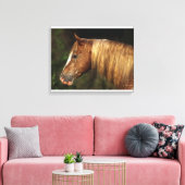 Appaloosa Horse Headshot 1 Canvas Afdruk (Insitu (Woonkamer))