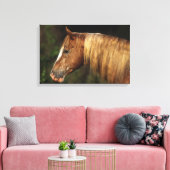 Appaloosa Horse Headshot 1 Canvas Afdruk (Insitu (Woonkamer))