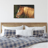 Appaloosa Horse Headshot 1 Canvas Afdruk (Insitu (Slaapkamer))