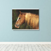 Appaloosa Horse Headshot 1 Canvas Afdruk (Insitu (Houten vloer))